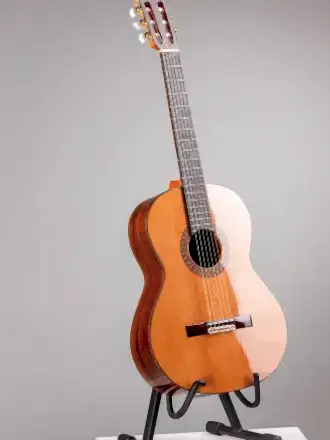 Gitar